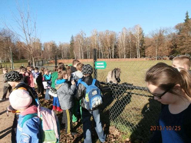 25.10.2013_WYCIECZKA DO BIAŁOWIEŻY38.JPG